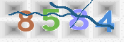 画像に表示された文字を入力して下さい