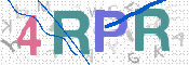 画像に表示された文字を入力して下さい