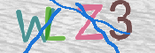画像に表示された文字を入力して下さい