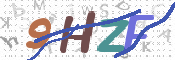 画像に表示された文字を入力して下さい