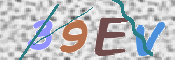 画像に表示された文字を入力して下さい