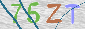 画像に表示された文字を入力して下さい