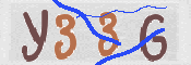 画像に表示された文字を入力して下さい