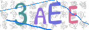 画像に表示された文字を入力して下さい