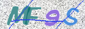 画像に表示された文字を入力して下さい