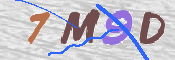 画像に表示された文字を入力して下さい