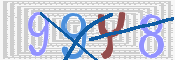 画像に表示された文字を入力して下さい