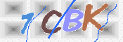 画像に表示された文字を入力して下さい
