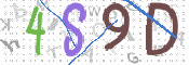 画像に表示された文字を入力して下さい