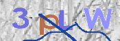 画像に表示された文字を入力して下さい