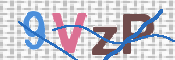 画像に表示された文字を入力して下さい