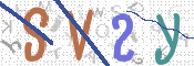 画像に表示された文字を入力して下さい