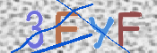 画像に表示された文字を入力して下さい