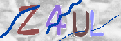 画像に表示された文字を入力して下さい