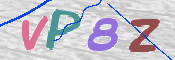 画像に表示された文字を入力して下さい