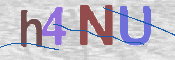 画像に表示された文字を入力して下さい