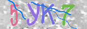 画像に表示された文字を入力して下さい