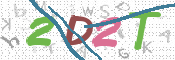 画像に表示された文字を入力して下さい