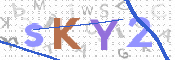 画像に表示された文字を入力して下さい