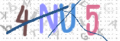 画像に表示された文字を入力して下さい