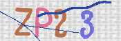 画像に表示された文字を入力して下さい