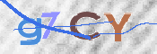 画像に表示された文字を入力して下さい