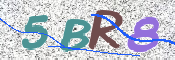 画像に表示された文字を入力して下さい