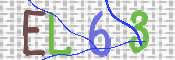 画像に表示された文字を入力して下さい