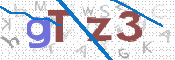 画像に表示された文字を入力して下さい