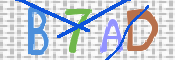 画像に表示された文字を入力して下さい