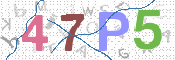 画像に表示された文字を入力して下さい