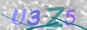 画像に表示された文字を入力して下さい