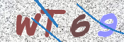 画像に表示された文字を入力して下さい