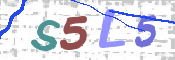 画像に表示された文字を入力して下さい