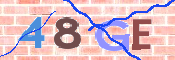 画像に表示された文字を入力して下さい