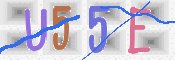 画像に表示された文字を入力して下さい