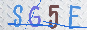 画像に表示された文字を入力して下さい