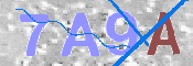 画像に表示された文字を入力して下さい