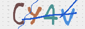 画像に表示された文字を入力して下さい