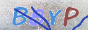画像に表示された文字を入力して下さい