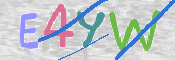 画像に表示された文字を入力して下さい
