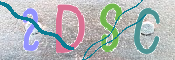 画像に表示された文字を入力して下さい