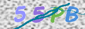 画像に表示された文字を入力して下さい