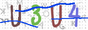 画像に表示された文字を入力して下さい