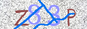 画像に表示された文字を入力して下さい