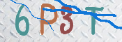 画像に表示された文字を入力して下さい