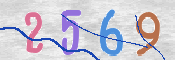 画像に表示された文字を入力して下さい