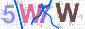 画像に表示された文字を入力して下さい