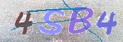 画像に表示された文字を入力して下さい