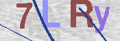 画像に表示された文字を入力して下さい